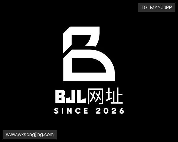 介绍BJL网址